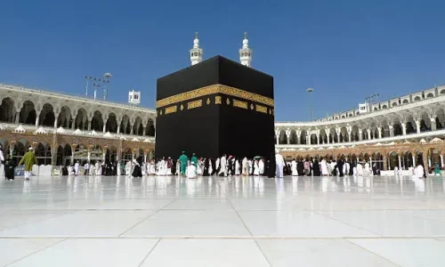 imgi_14_istockphoto-458474711-612x612-1