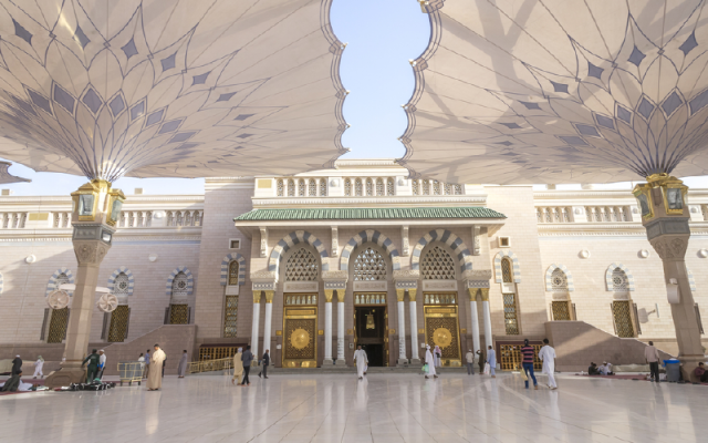 mye9qKCdCn-1733315330